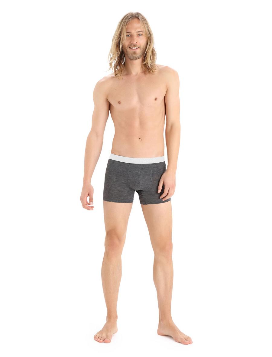 Men's Icebreaker Cool-Lite™ Merino Anatomica Boxers Underwear Monsoon Heather | CA 1628MQZA